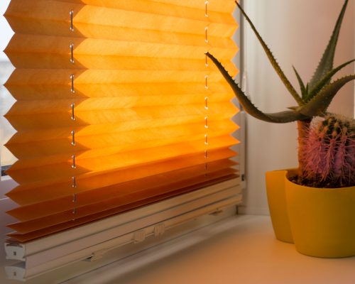 Custom_view_window